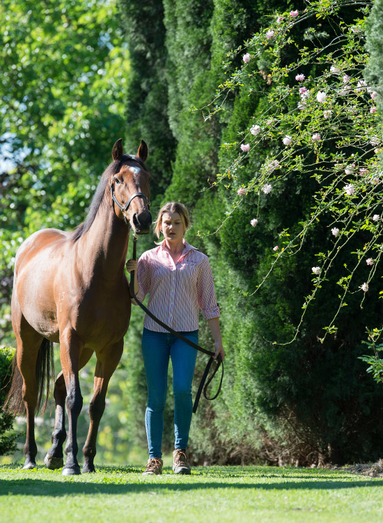 history of torryburn stud